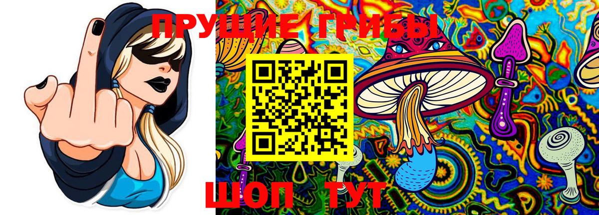 Кострома  Псилоцибиновые грибы прущие грибы  Вход с VPN 