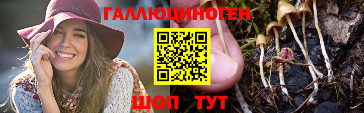 Галлюциногенные грибы Magic Shrooms Кострома